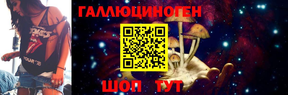 Галлюциногенные грибы Psilocybe  Галлюциногенные грибы мицелий  Вход с VPN  Горно-Алтайск 