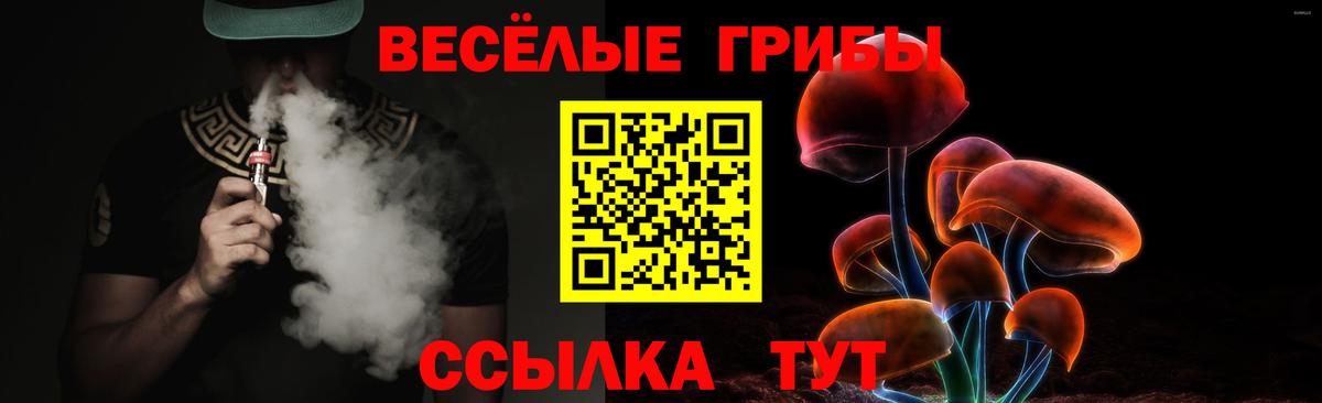 Псилоцибиновые грибы мицелий Горно-Алтайск